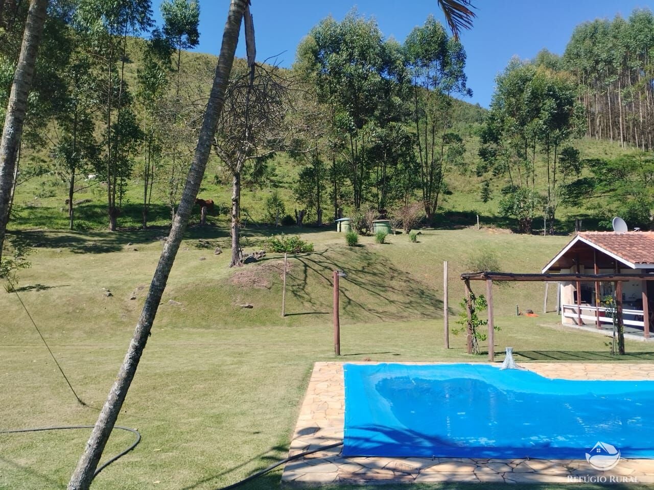 Sítio, 53 hectares - Foto 33