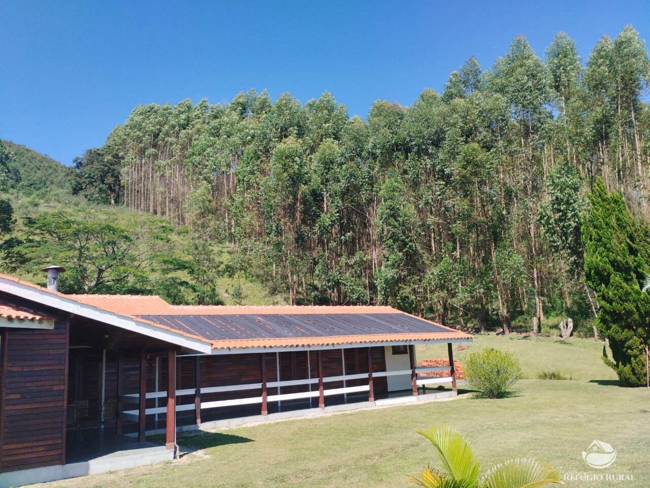 Sítio, 53 hectares - Foto 4