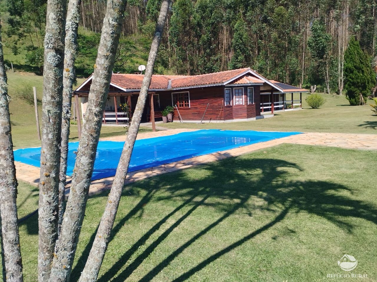 Sítio, 53 hectares - Foto 6