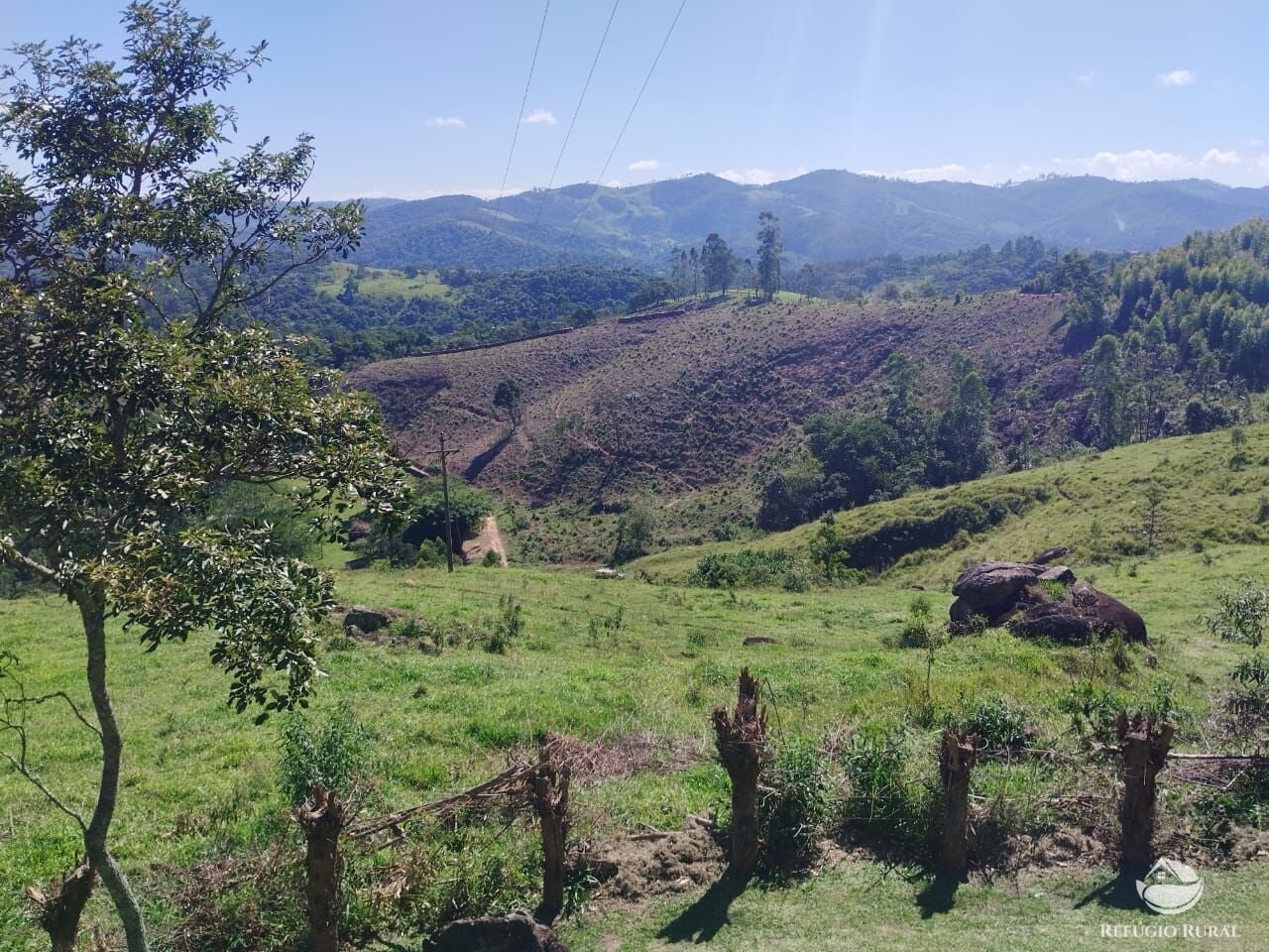 Sítio, 53 hectares - Foto 34