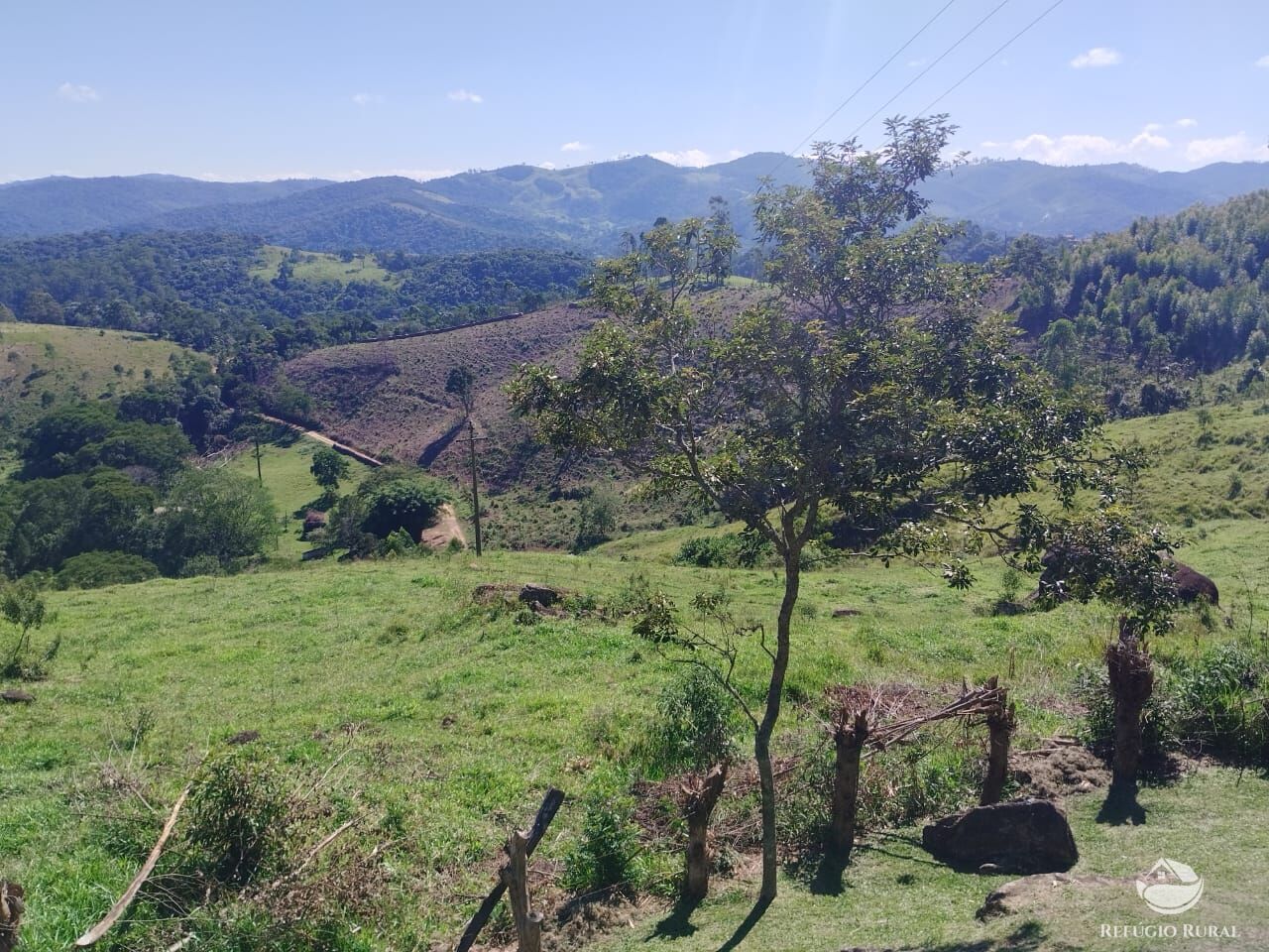 Sítio, 53 hectares - Foto 8