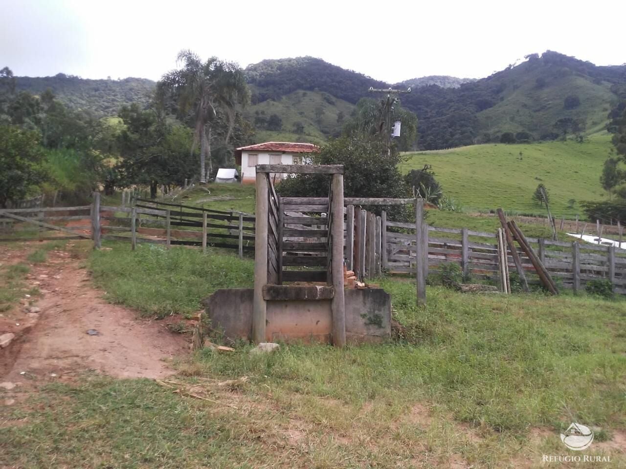 Fazenda, 73 hectares - Foto 12