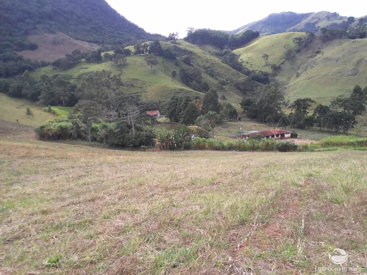 Fazenda, 73 hectares - Foto 13