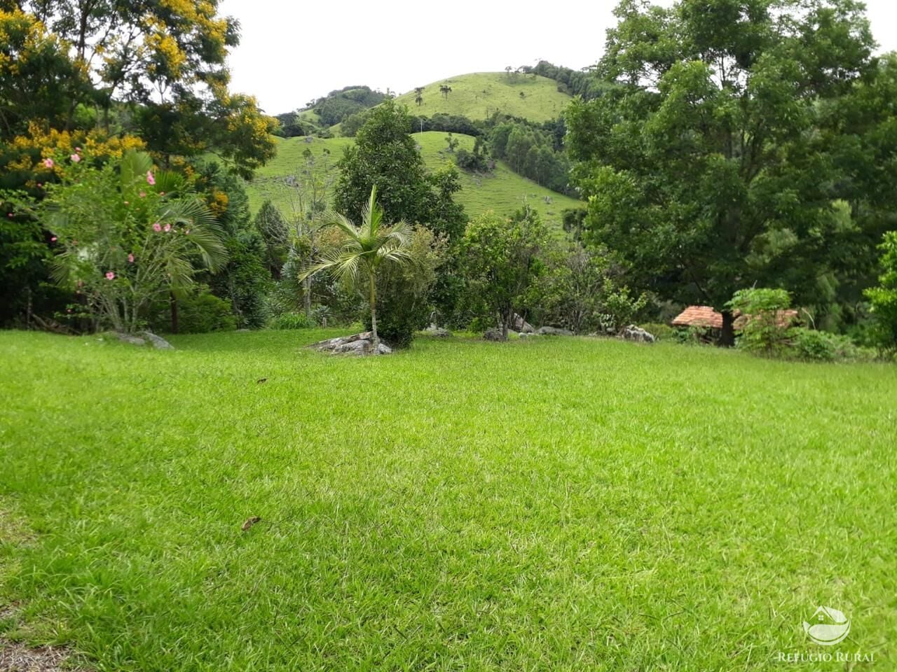 Fazenda, 73 hectares - Foto 28