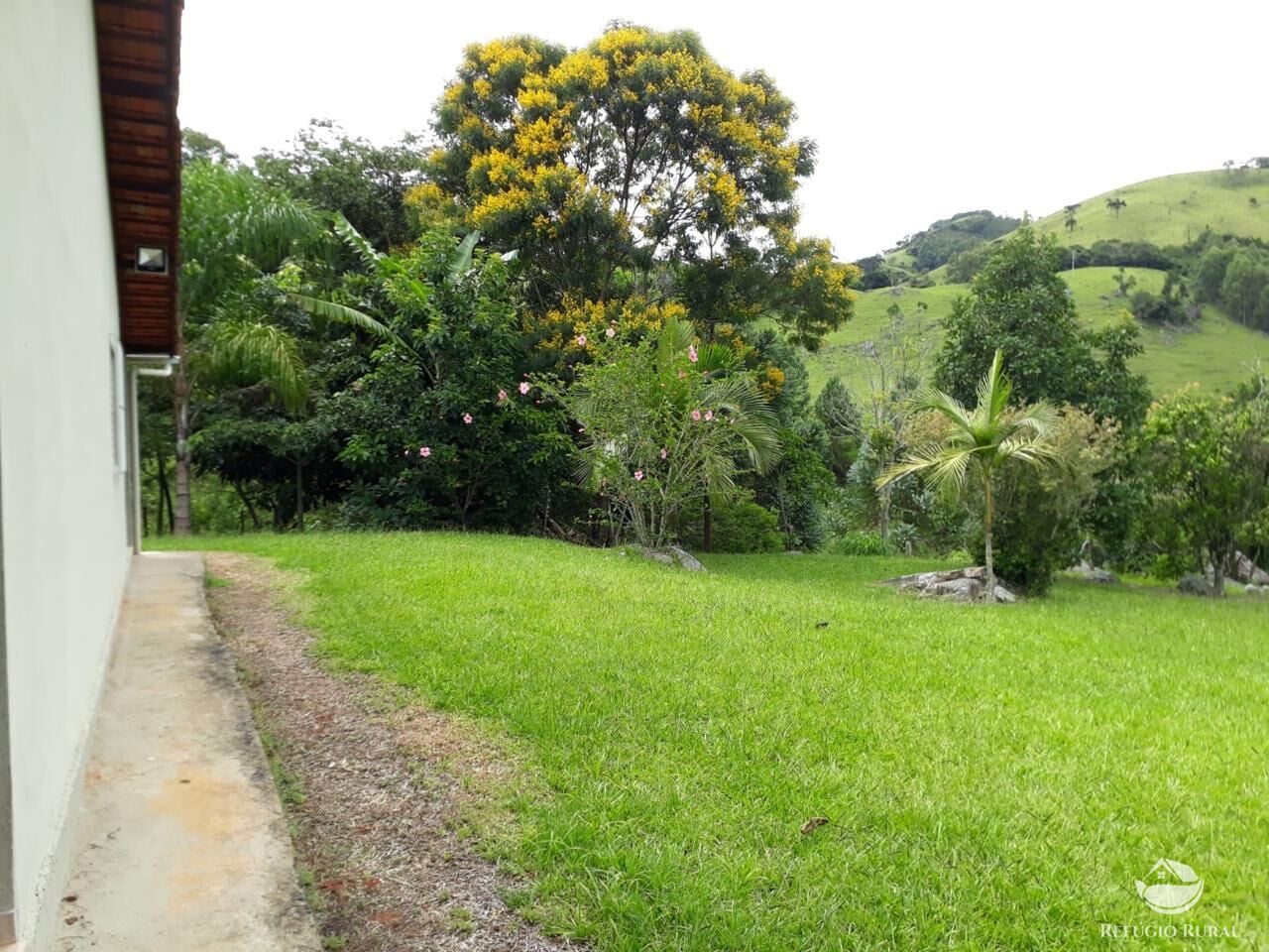 Fazenda, 73 hectares - Foto 22