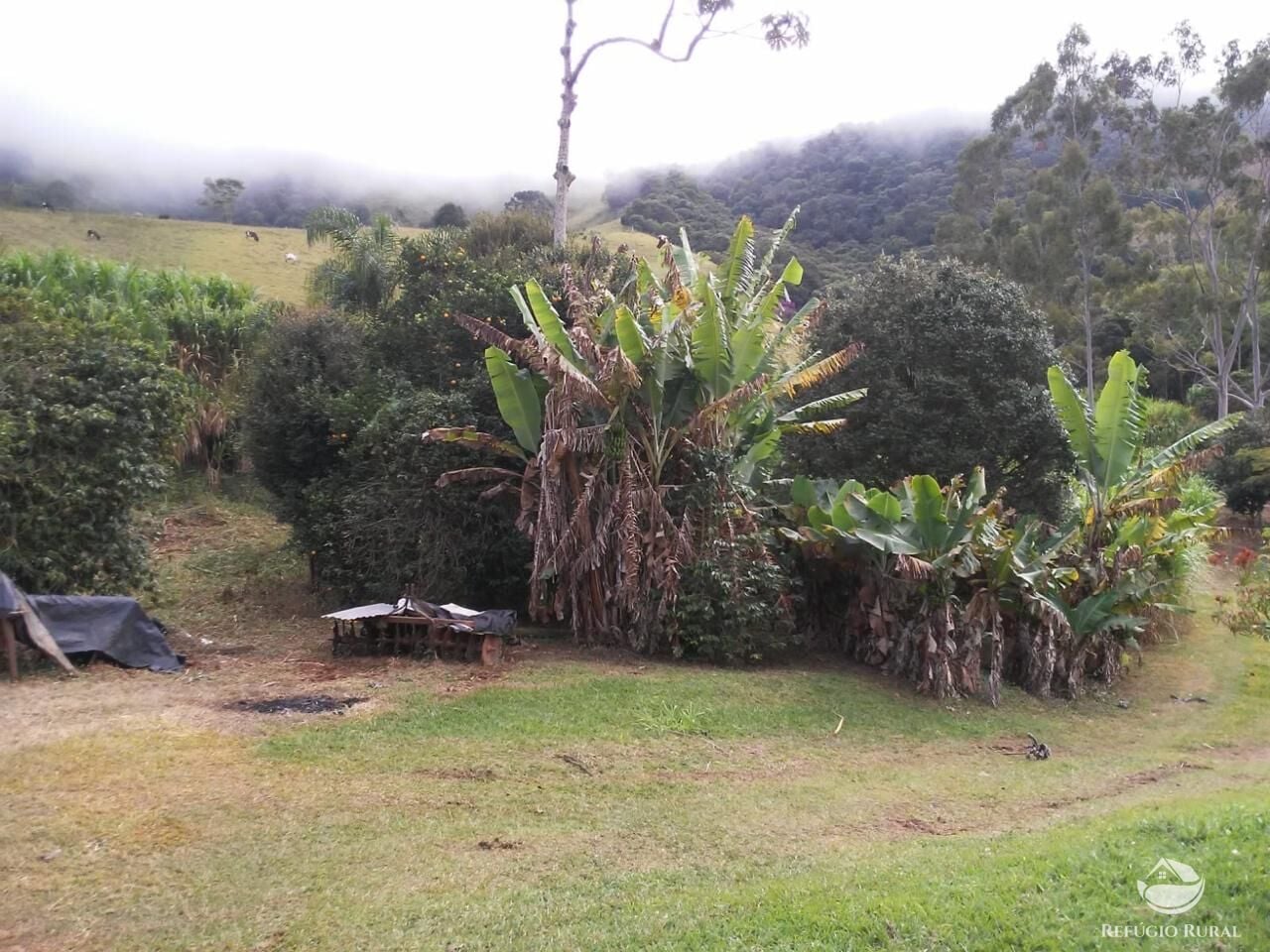 Fazenda, 73 hectares - Foto 21