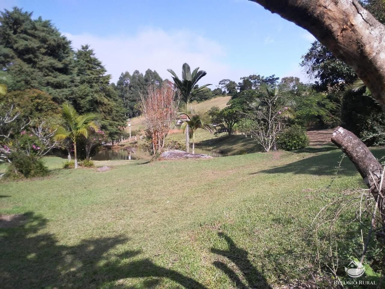 Fazenda, 73 hectares - Foto 16