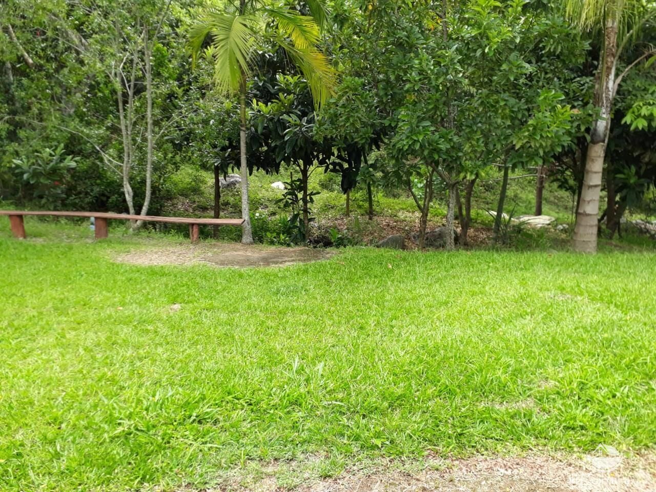 Fazenda, 73 hectares - Foto 6