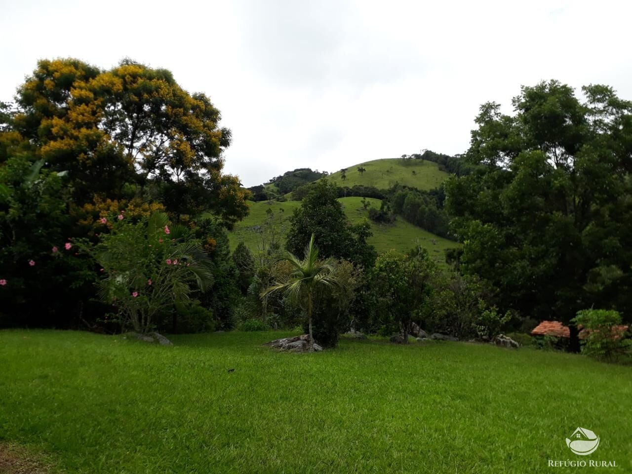 Fazenda, 73 hectares - Foto 9