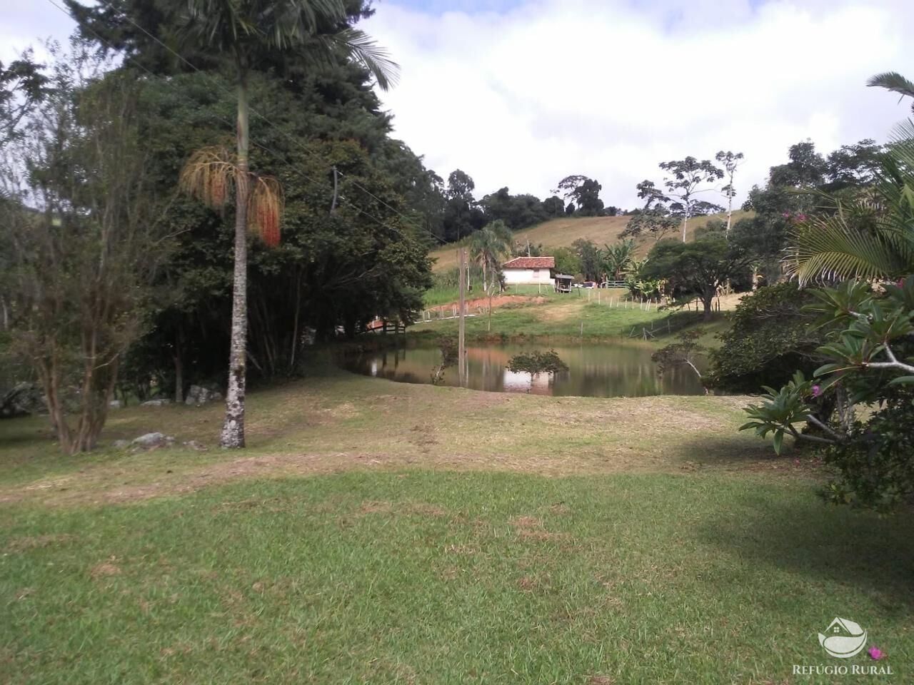 Fazenda, 73 hectares - Foto 14