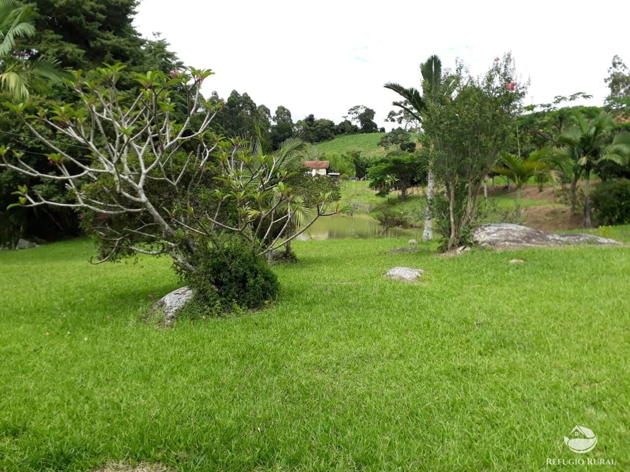 Fazenda, 73 hectares - Foto 29