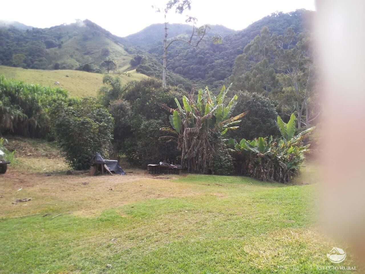 Fazenda, 73 hectares - Foto 20