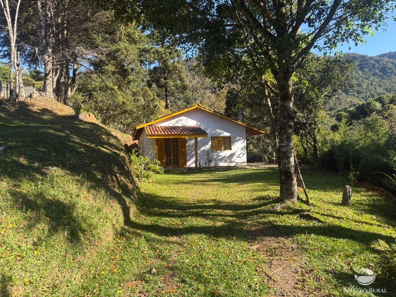 Sítio, 1000 m² - Foto 14