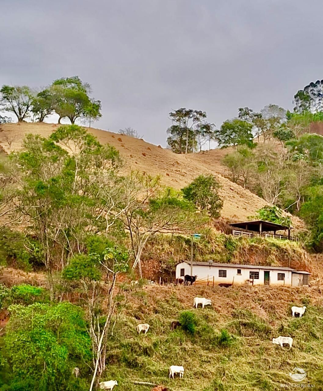 Sítio, 29 hectares - Foto 13