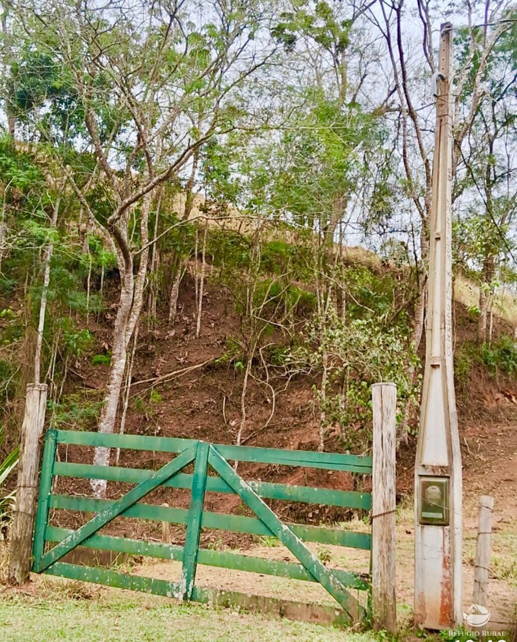 Sítio, 29 hectares - Foto 14