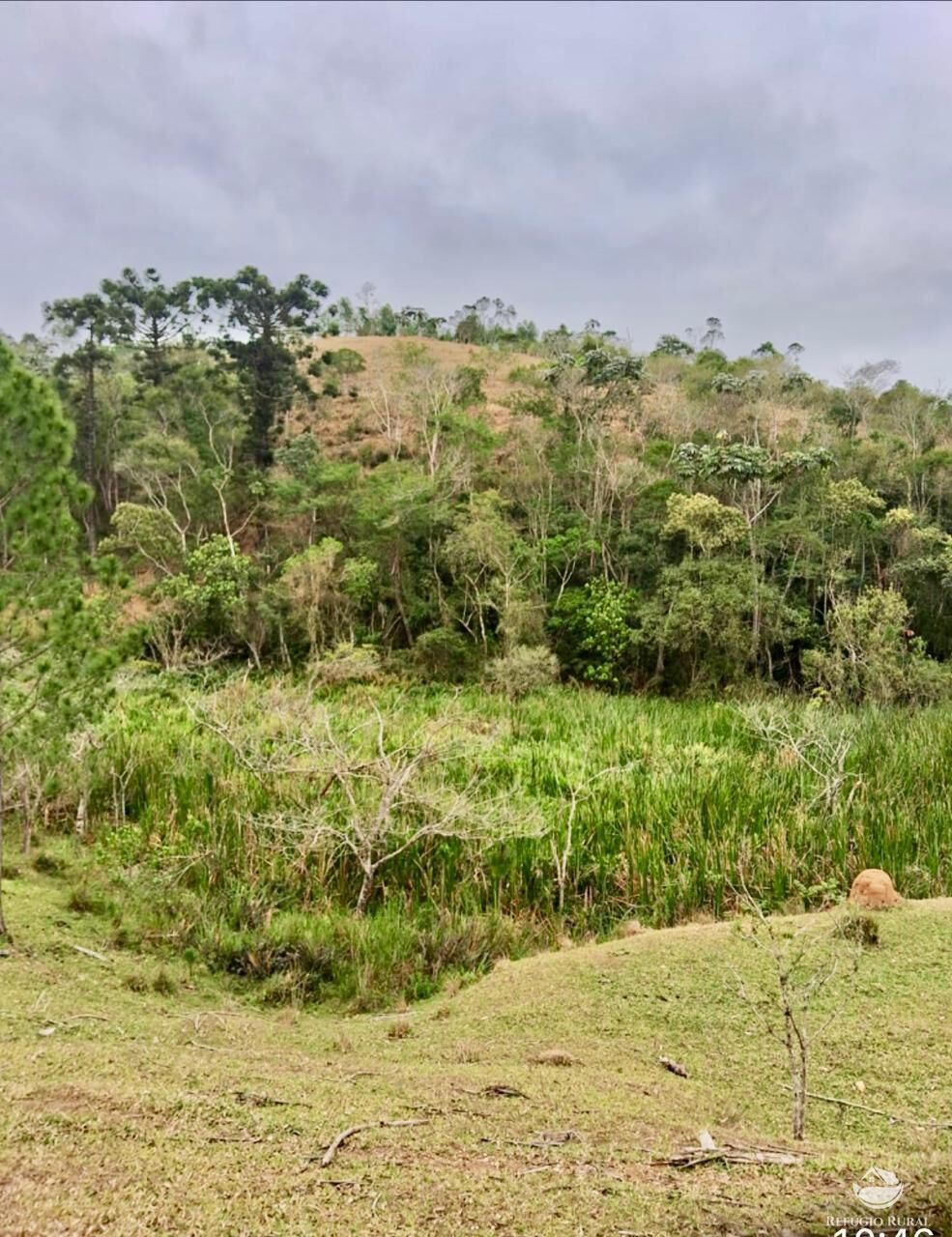 Sítio, 29 hectares - Foto 16