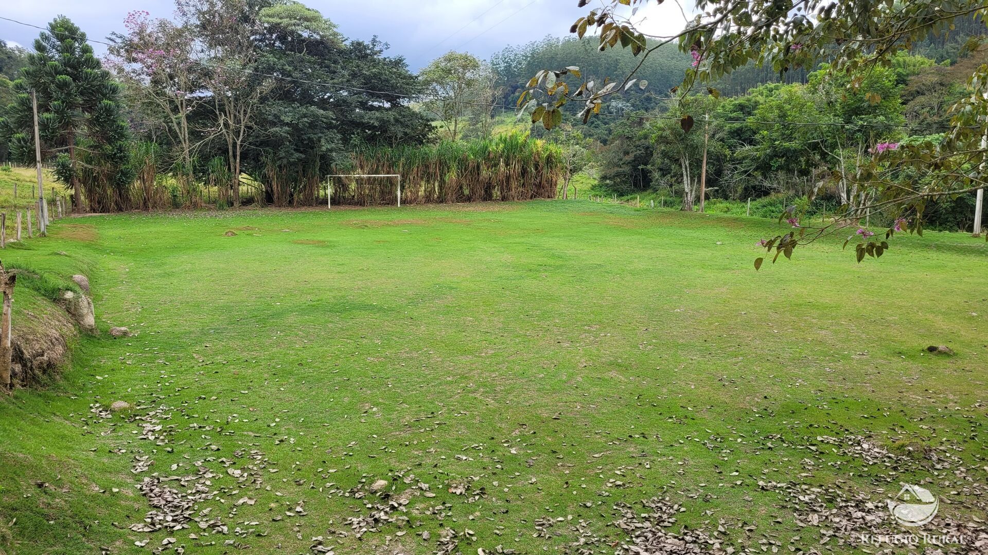 Chácara, 29 hectares - Foto 31