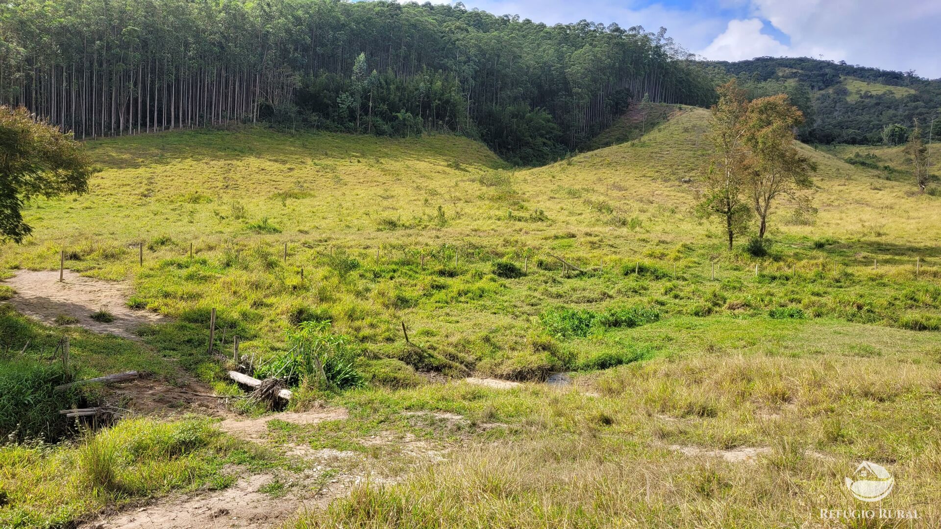 Chácara, 29 hectares - Foto 49