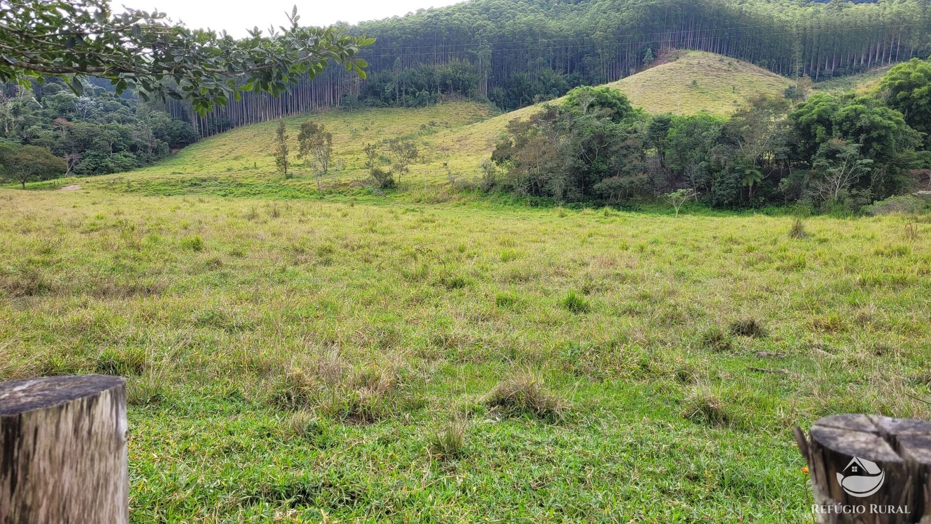 Chácara, 29 hectares - Foto 42