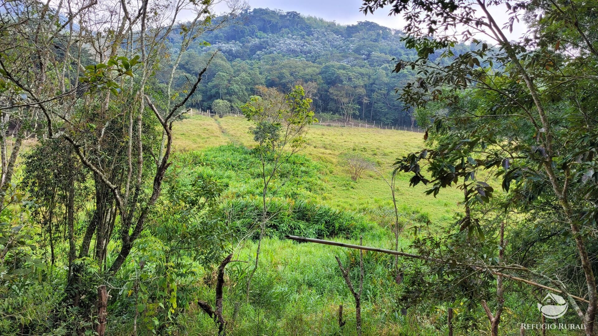 Chácara, 29 hectares - Foto 45