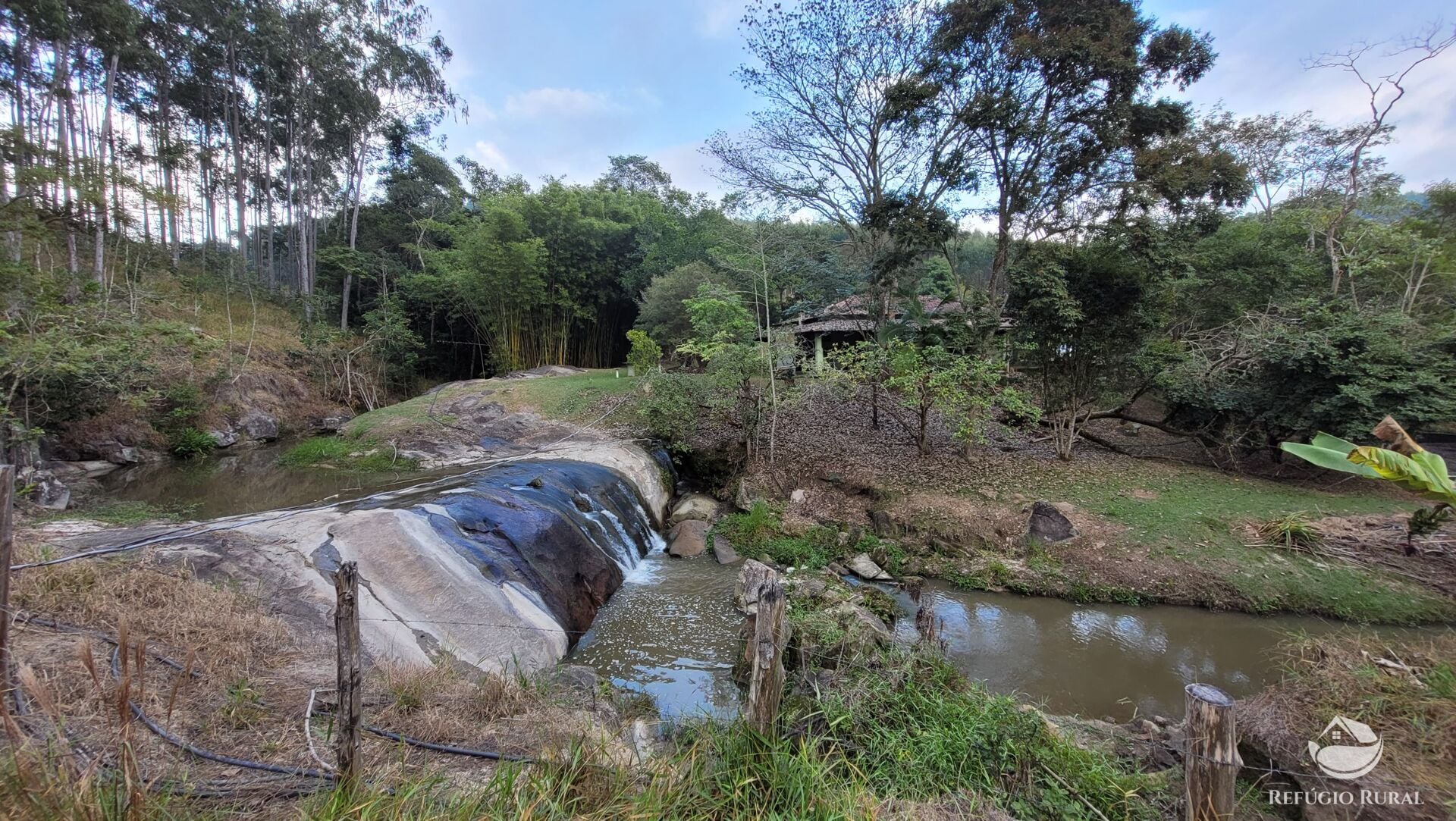 Chácara, 29 hectares - Foto 4