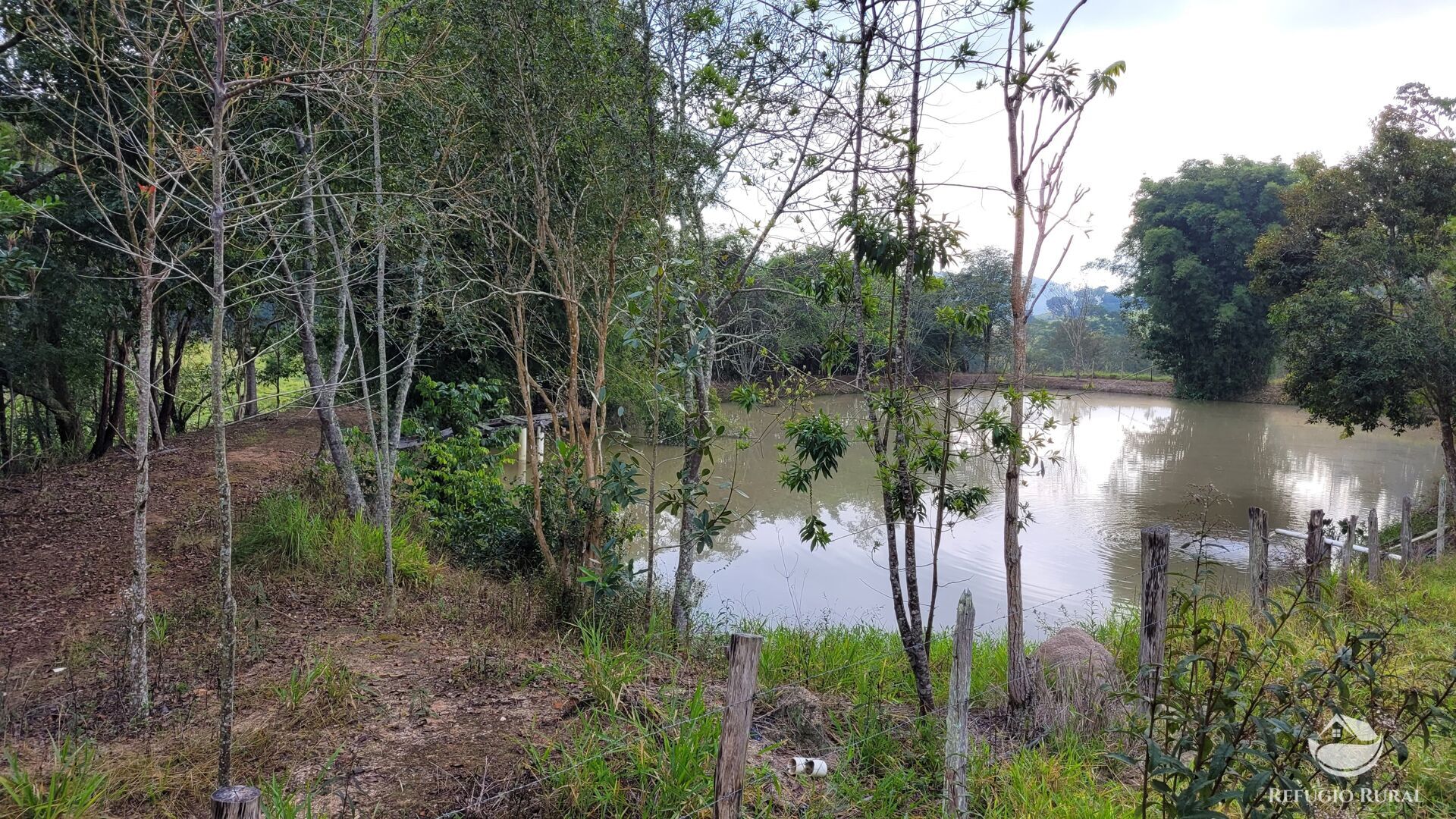 Chácara, 29 hectares - Foto 37