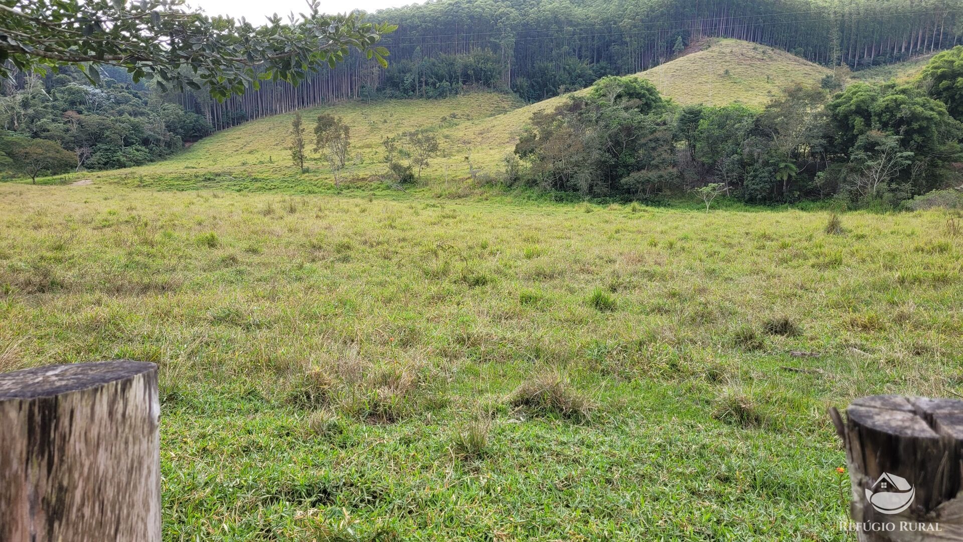 Chácara, 29 hectares - Foto 40