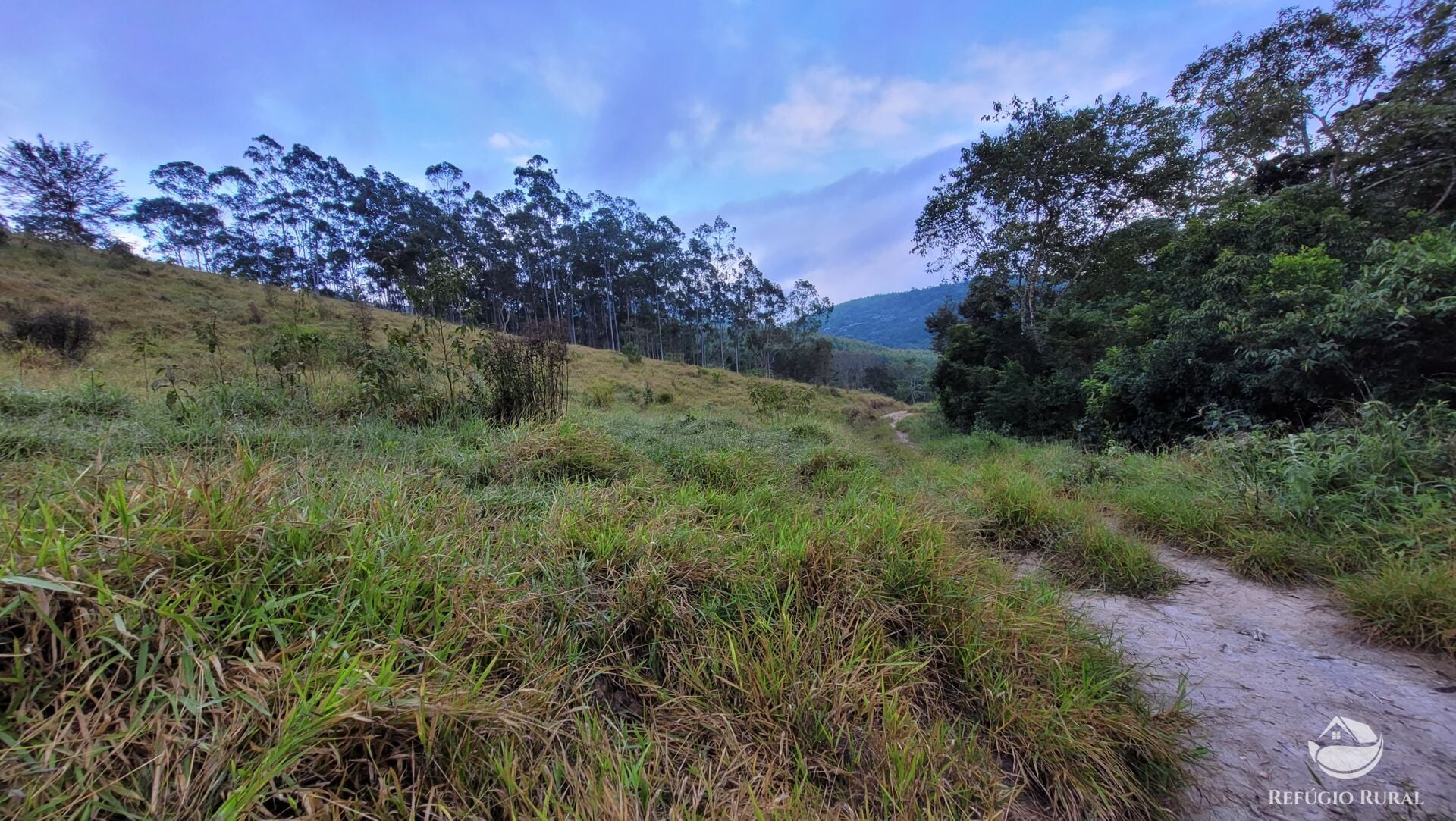 Chácara, 29 hectares - Foto 12