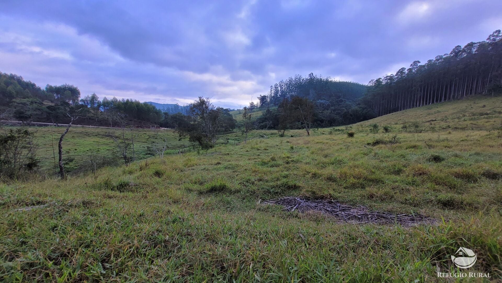 Chácara, 29 hectares - Foto 10