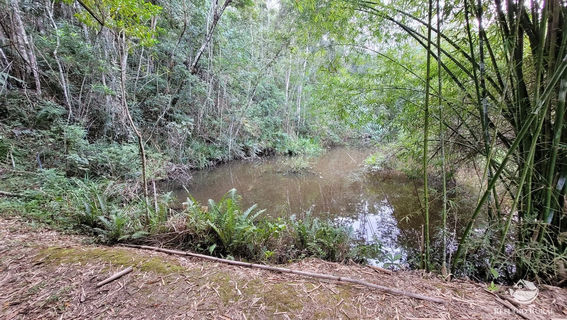 Chácara, 29 hectares - Foto 36