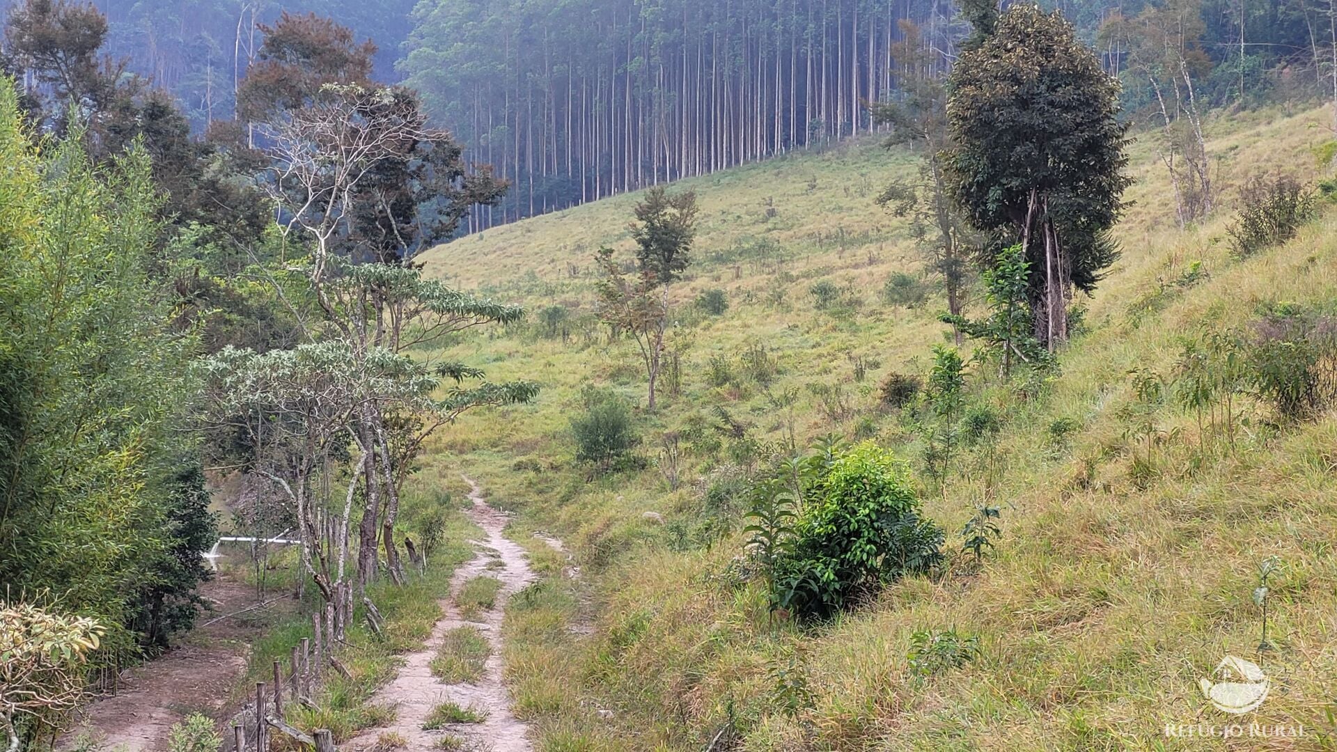 Chácara, 29 hectares - Foto 19