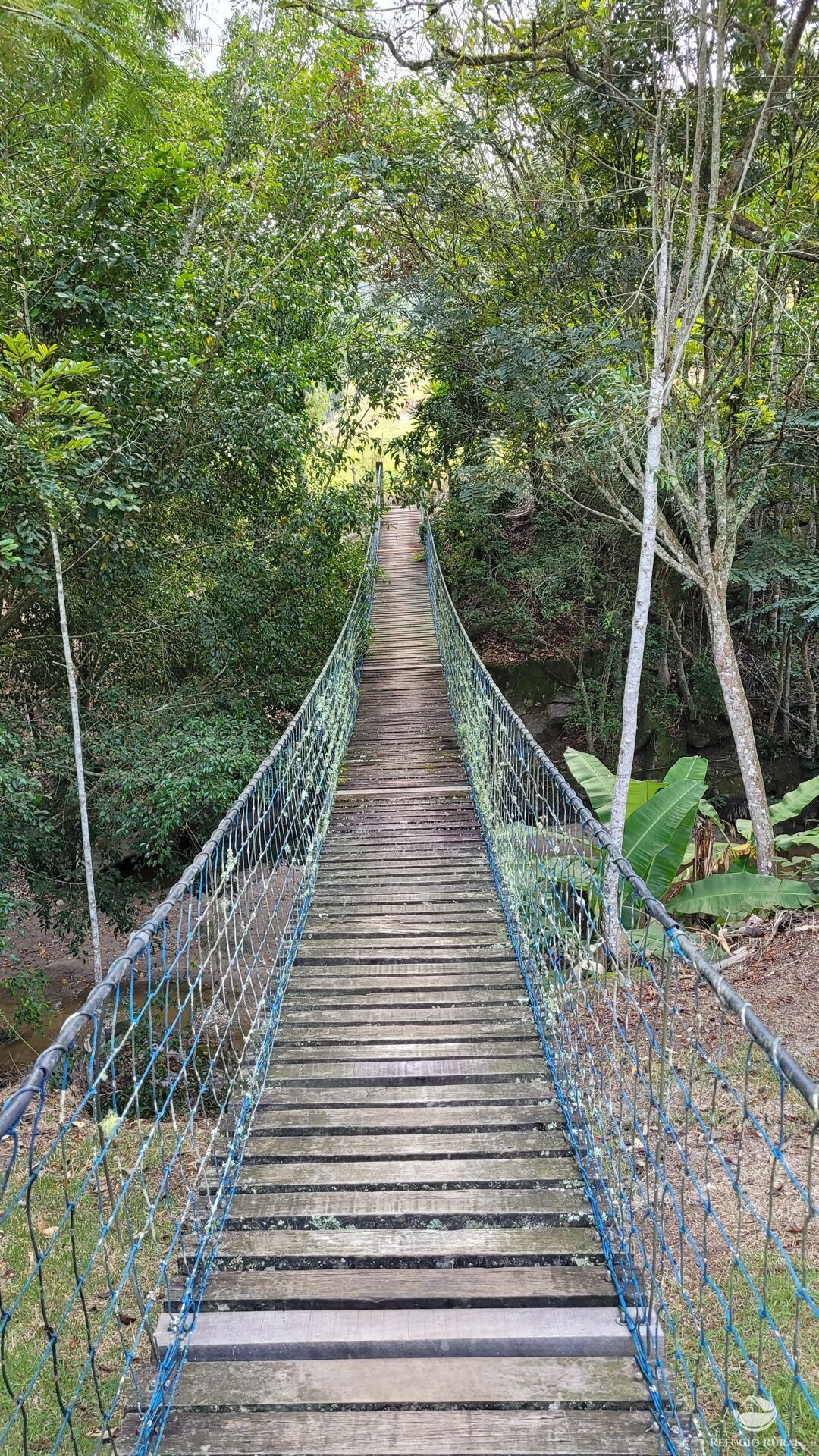 Chácara, 29 hectares - Foto 43