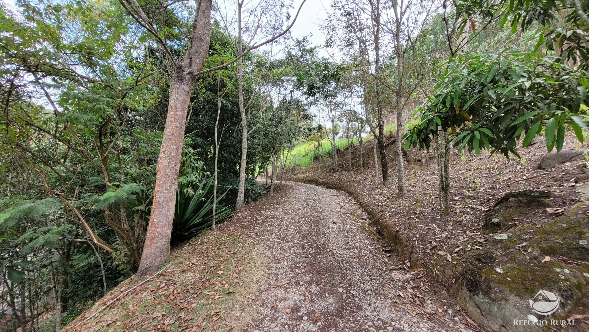 Chácara, 29 hectares - Foto 33