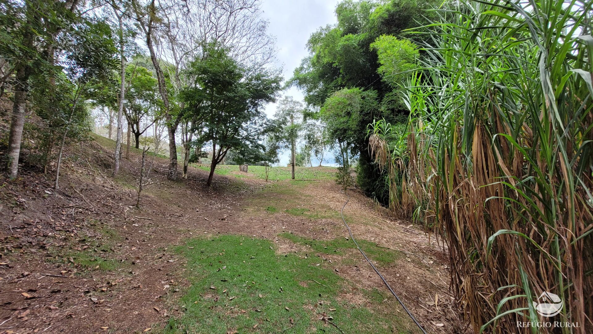 Chácara, 29 hectares - Foto 39