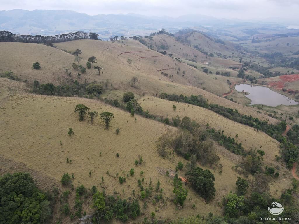 Fazenda, 107 hectares - Foto 8
