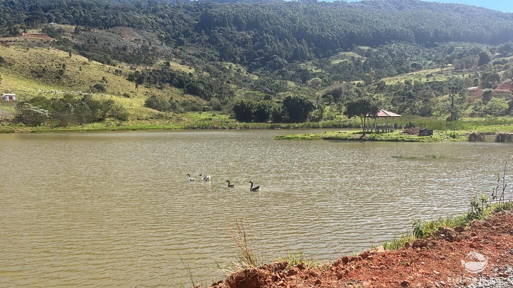 Fazenda, 107 hectares - Foto 4