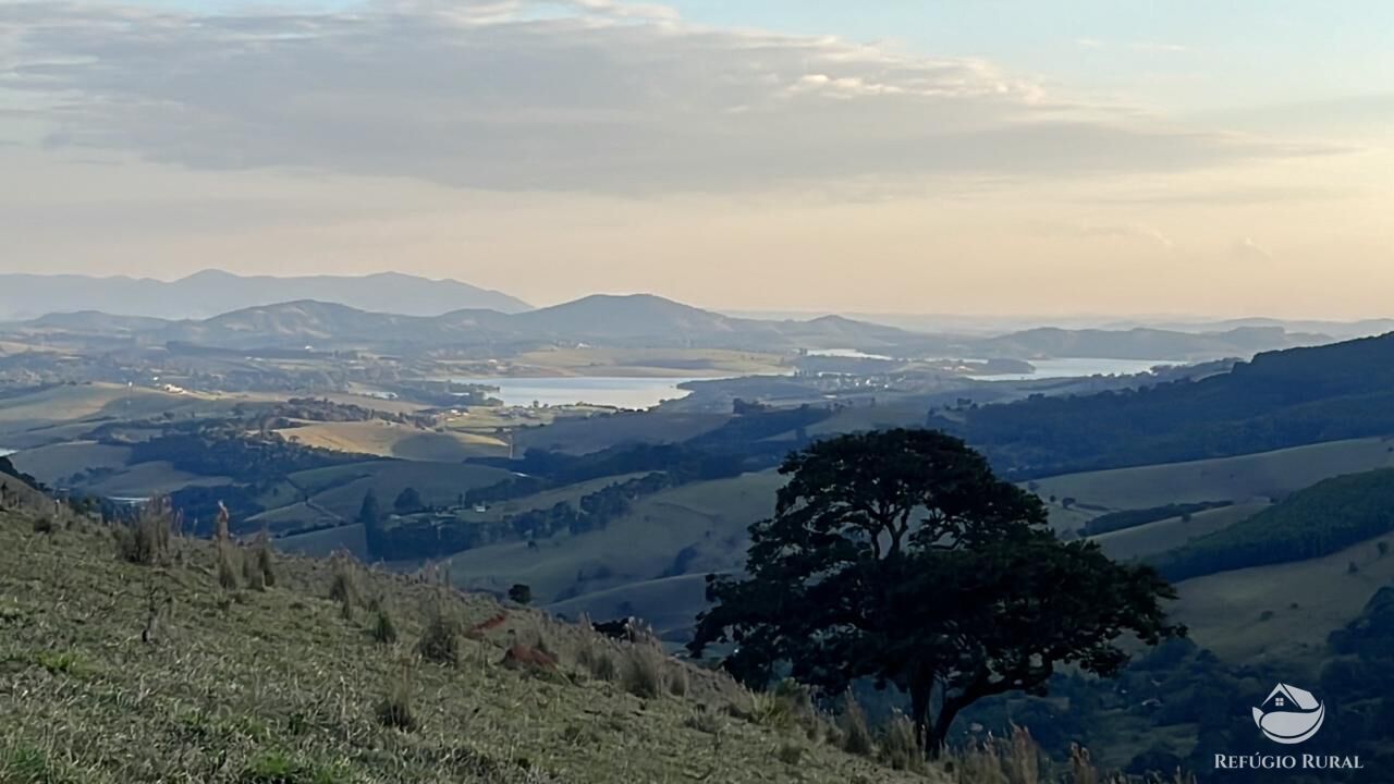 Fazenda, 107 hectares - Foto 9