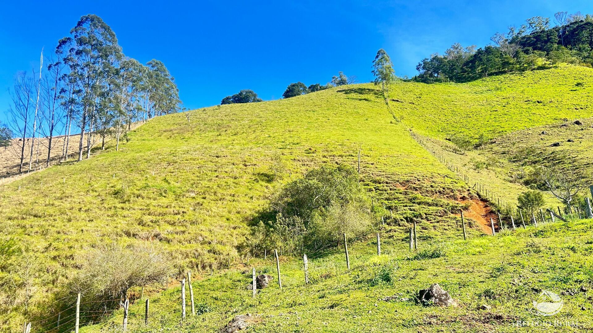 Chácara, 3 hectares - Foto 15