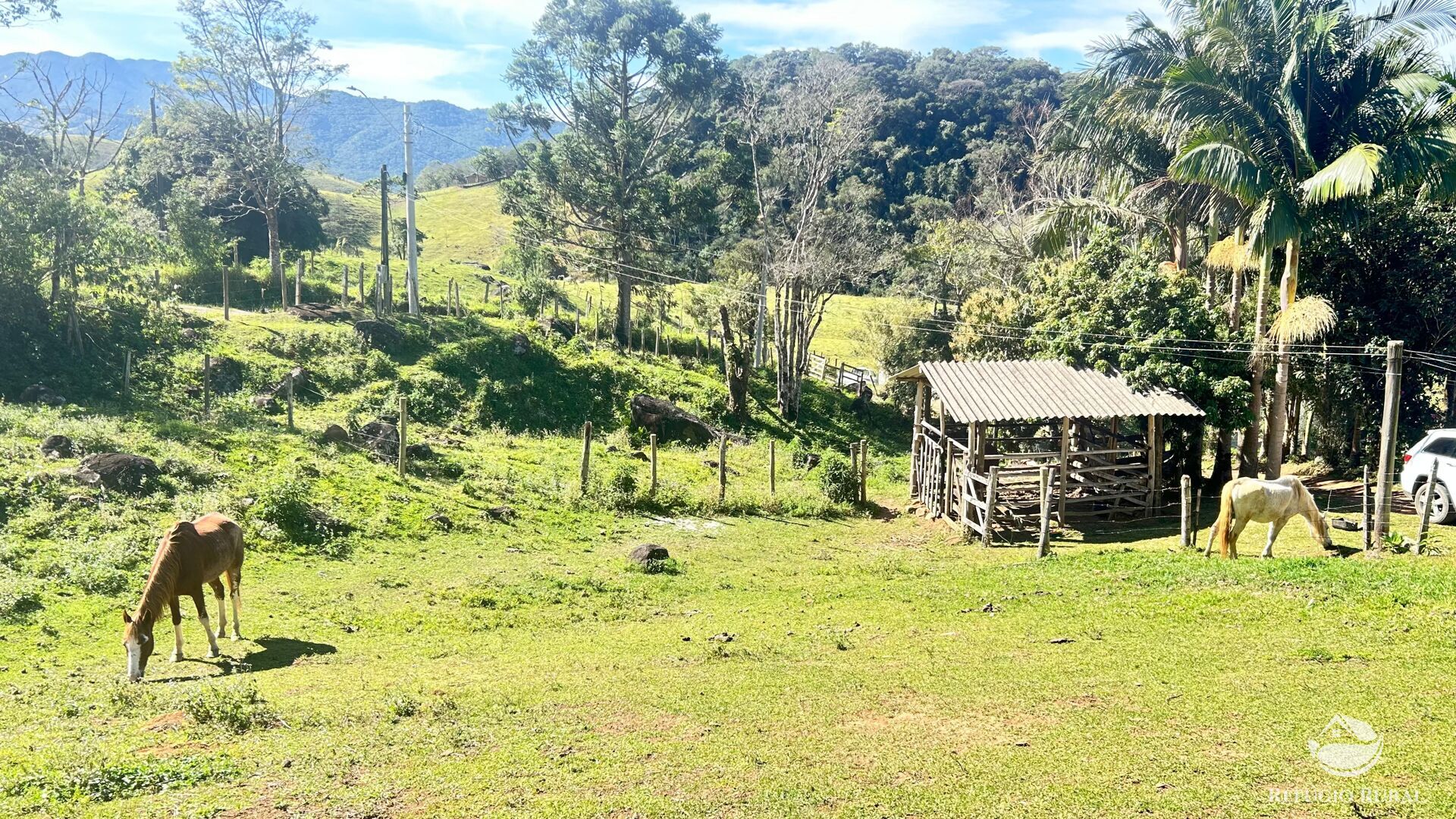 Chácara, 3 hectares - Foto 6
