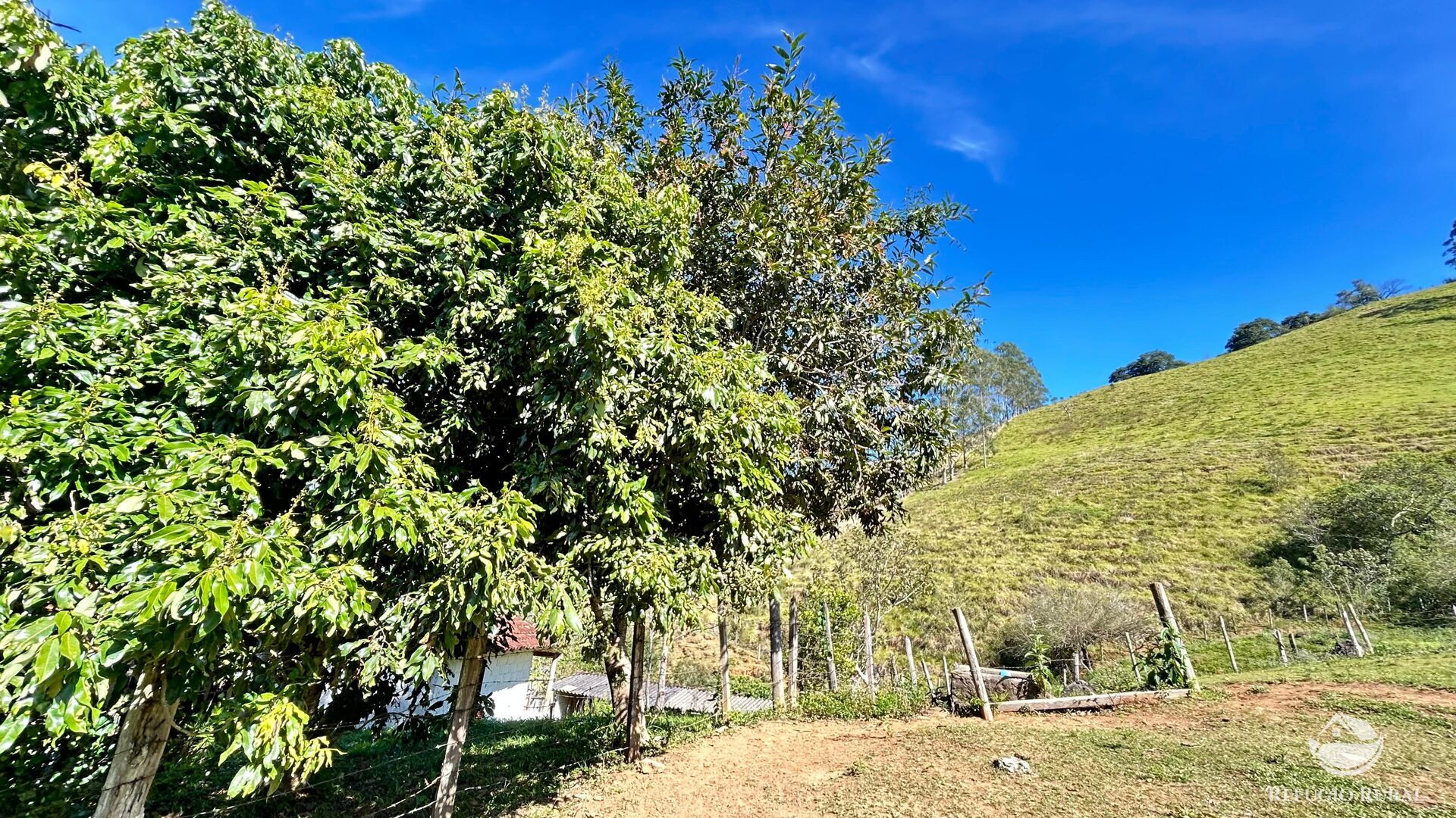 Chácara, 3 hectares - Foto 14