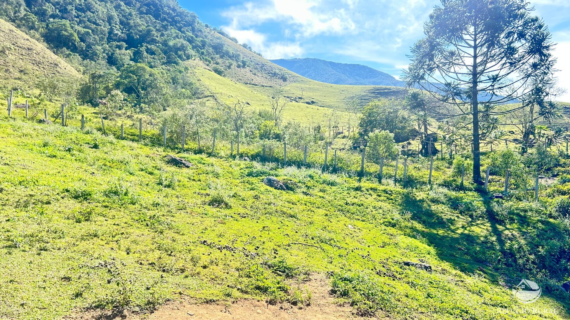 Chácara, 3 hectares - Foto 4