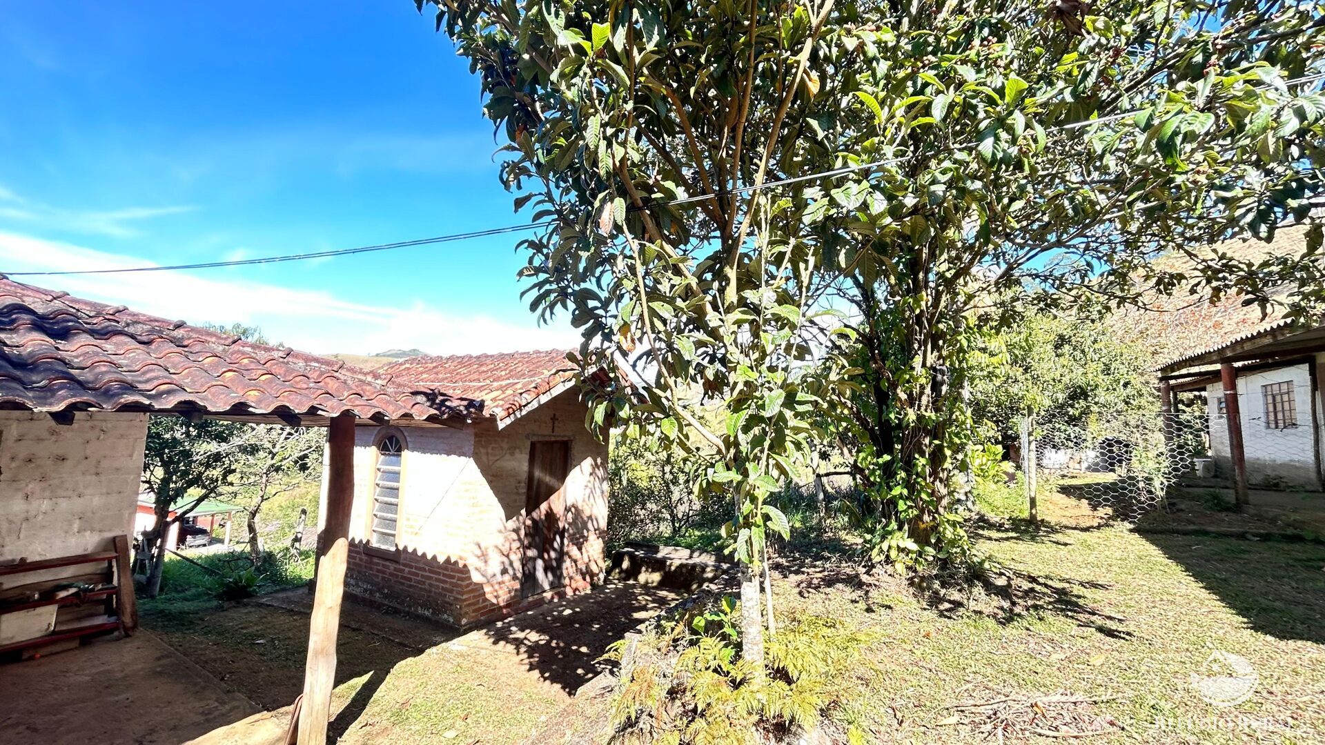 Chácara, 3 hectares - Foto 8