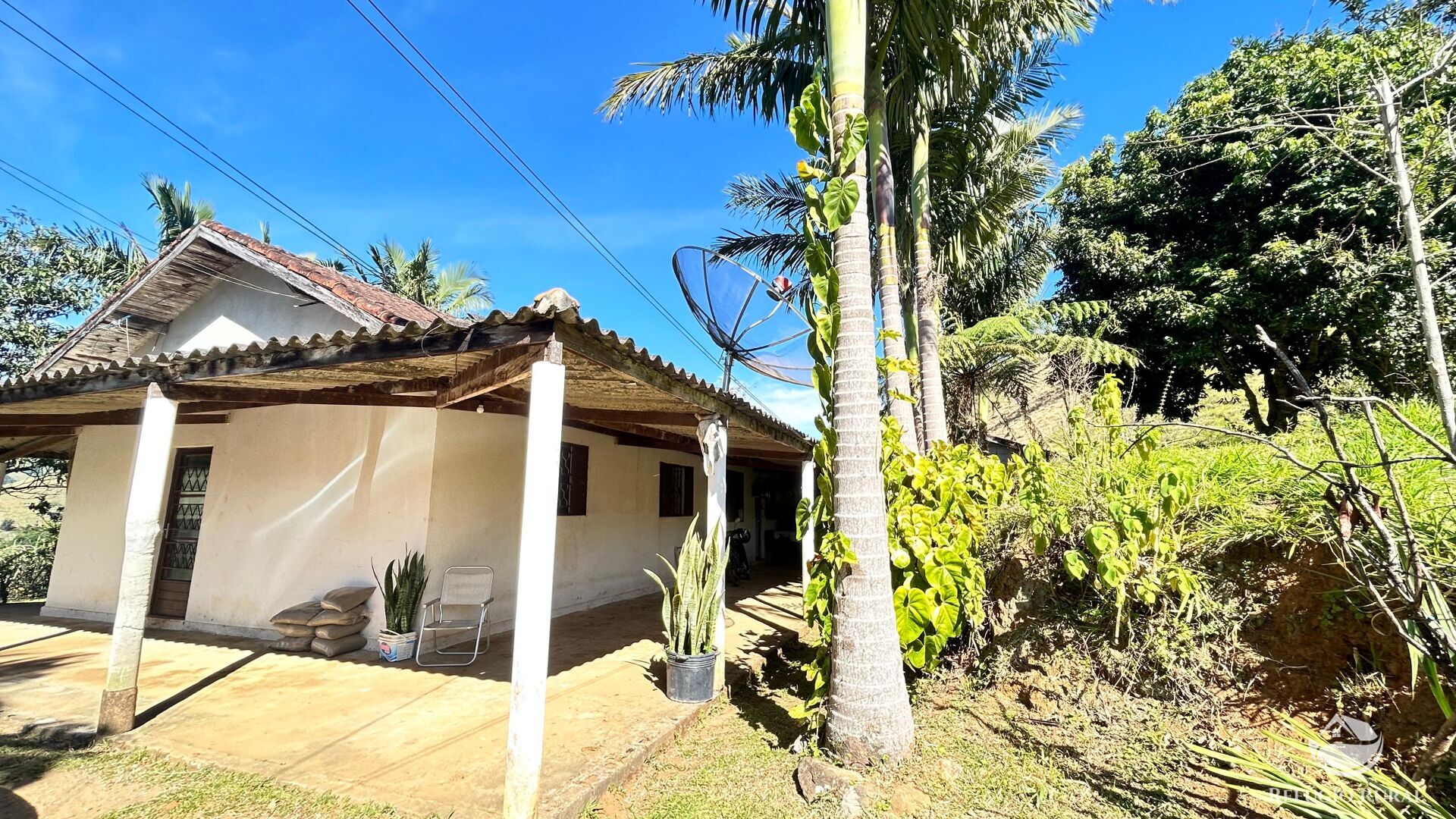 Chácara, 3 hectares - Foto 12