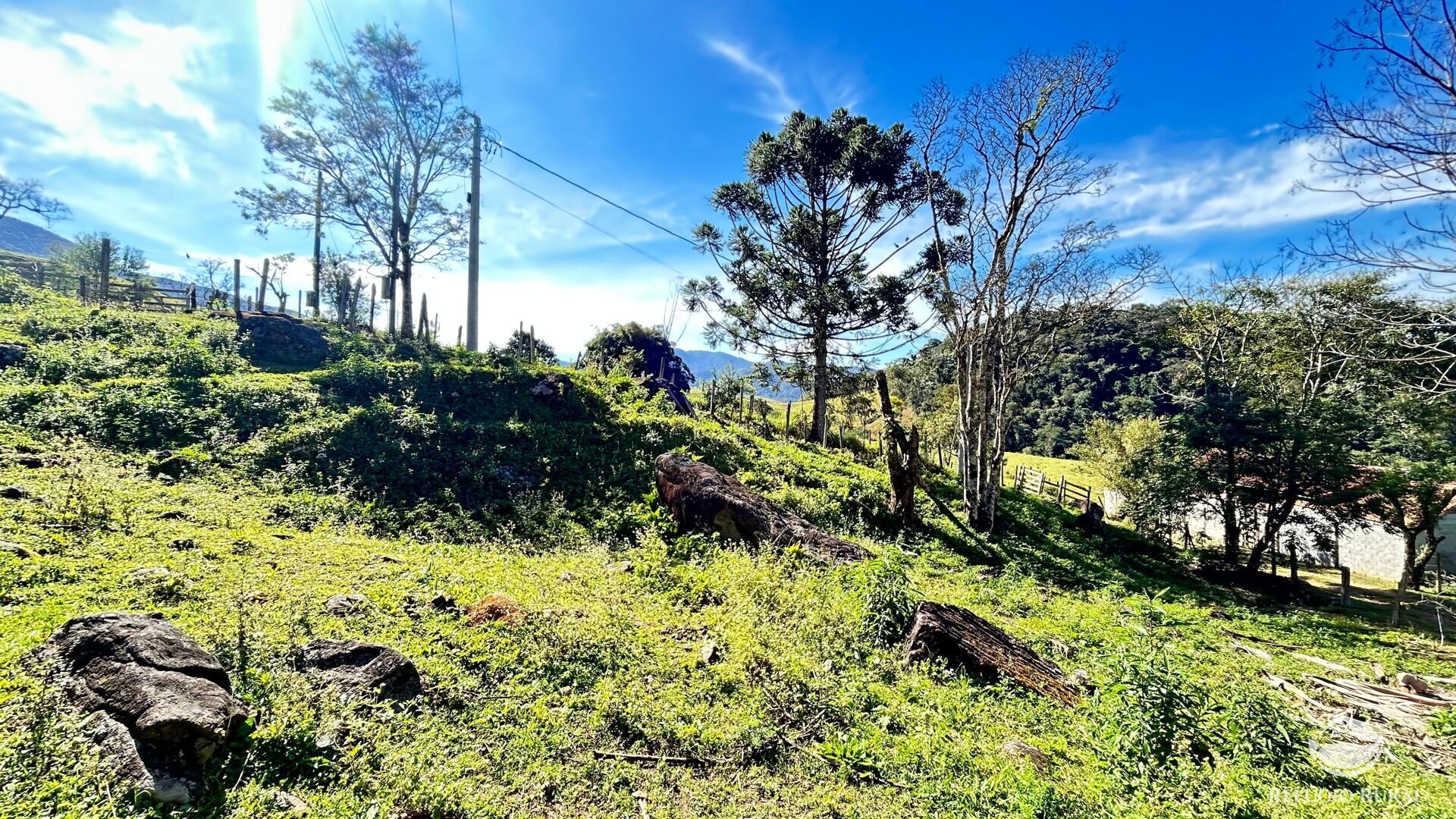 Chácara, 3 hectares - Foto 13