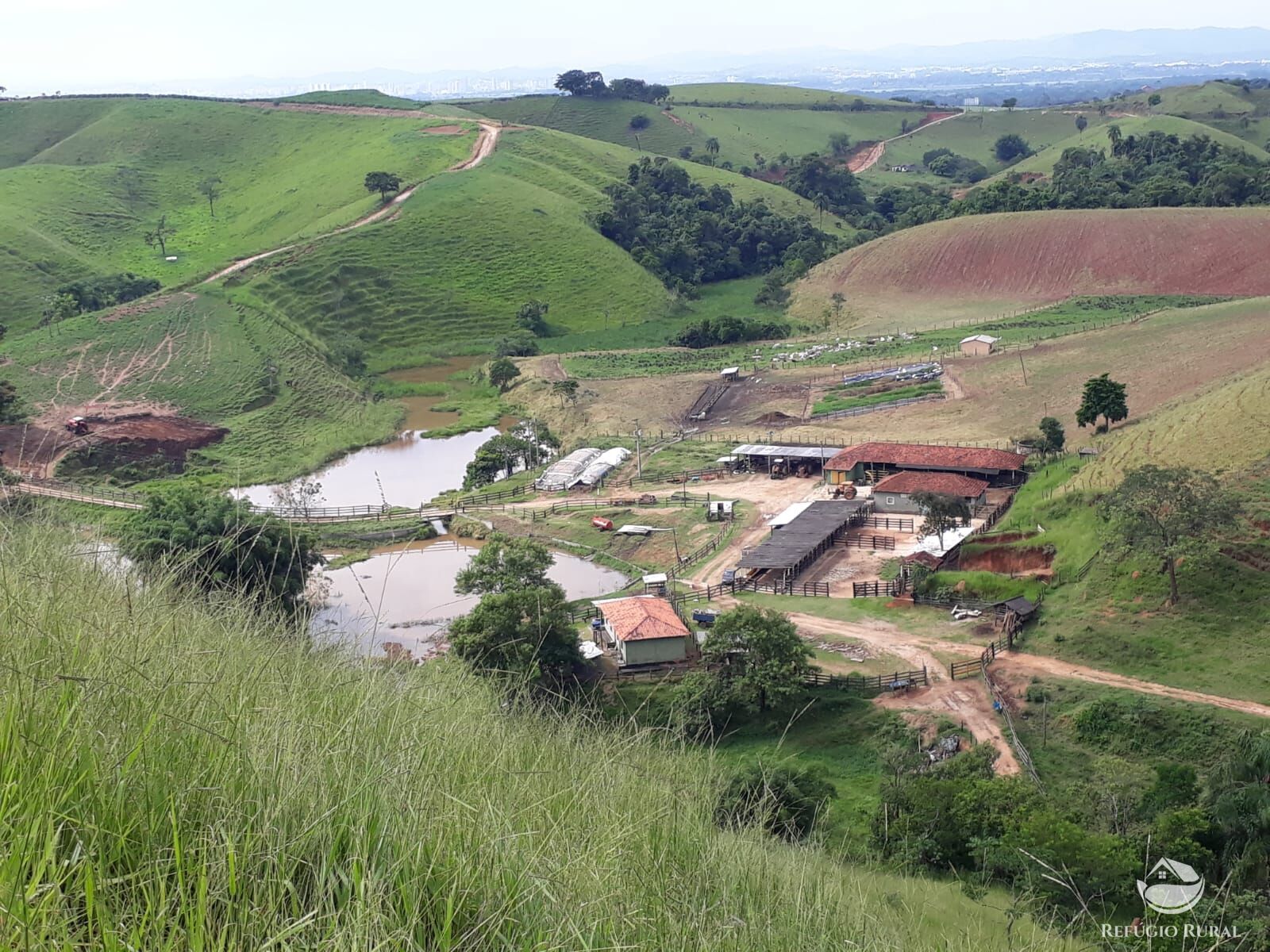 Fazenda, 237 hectares - Foto 5