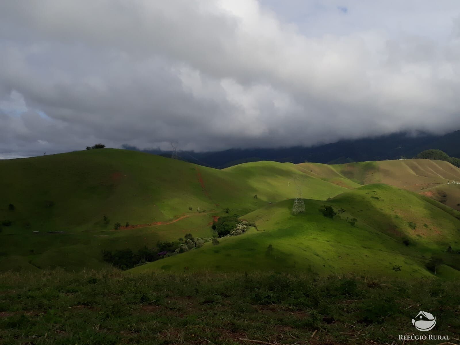 Fazenda, 237 hectares - Foto 7