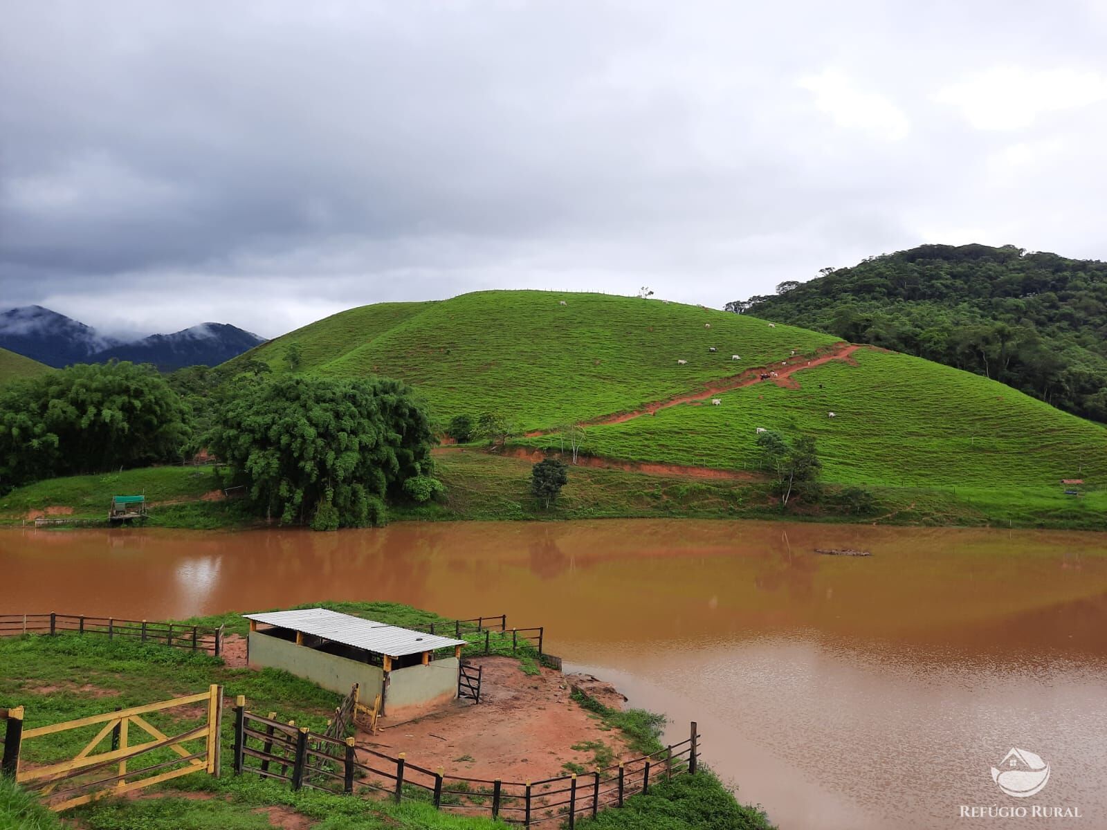 Fazenda, 237 hectares - Foto 12