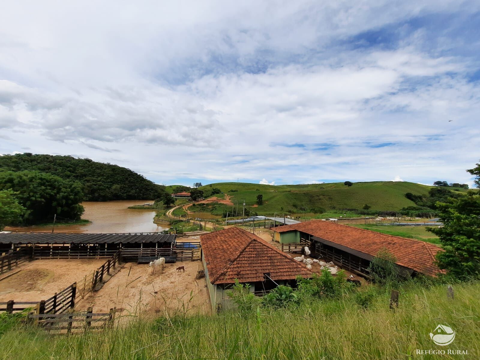 Fazenda, 237 hectares - Foto 6