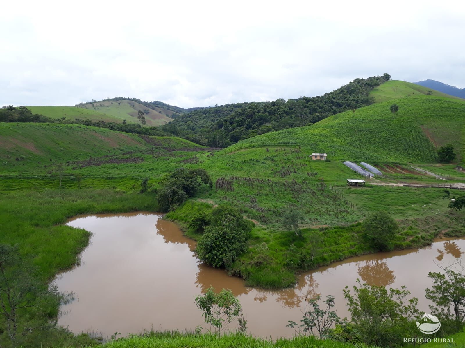 Fazenda, 237 hectares - Foto 16