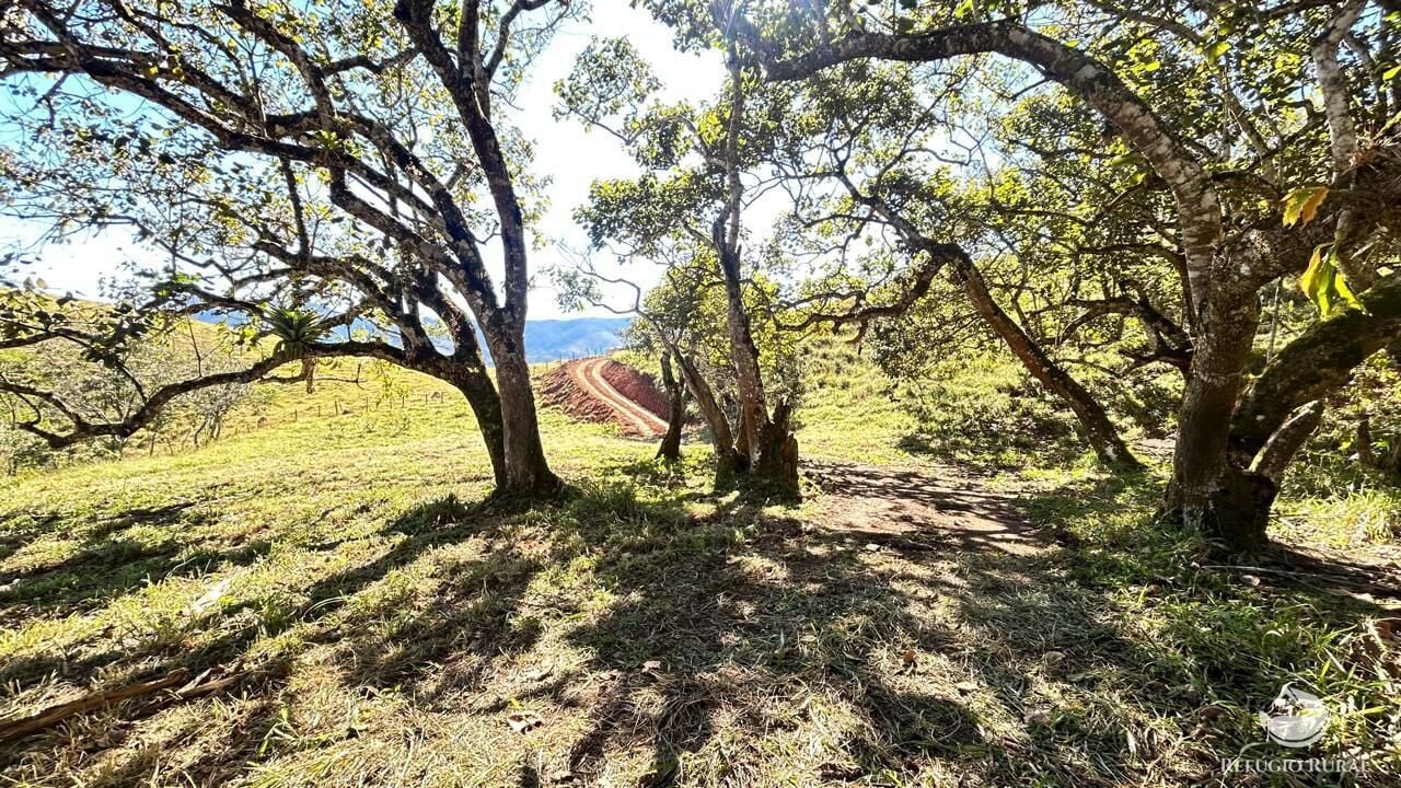 Chácara, 10 hectares - Foto 4